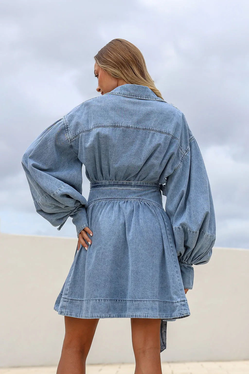 Stassi Denim Dress